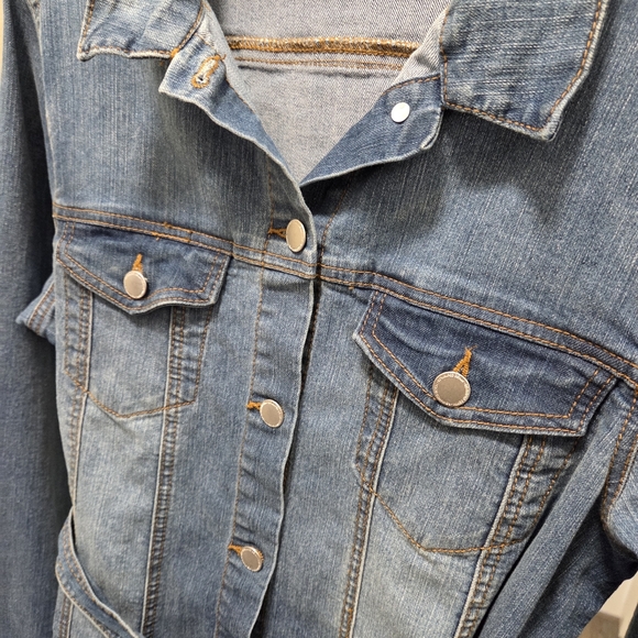 Revamped Cotton Blend Blue Denim Dress - Picture 7 of 9